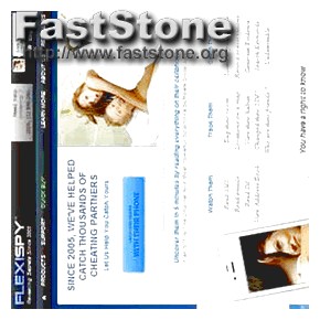 Flexispy Download Windows 7